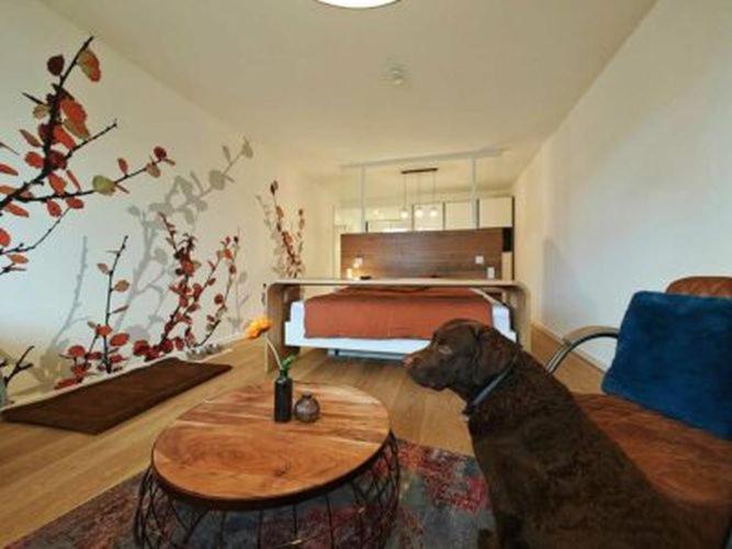 Artroom Boarding Apartment Bissendorf 외부 사진